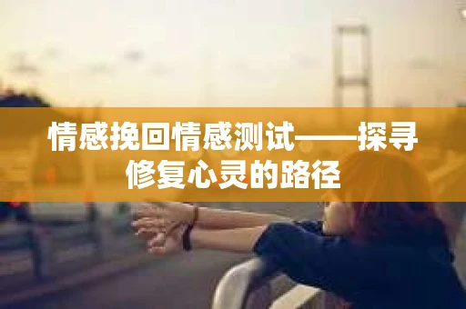情感挽回情感测试——探寻修复心灵的路径