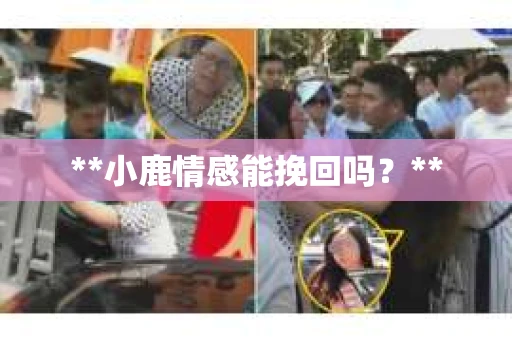 **小鹿情感能挽回吗？**
