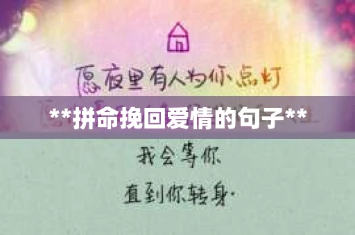 **拼命挽回爱情的句子**