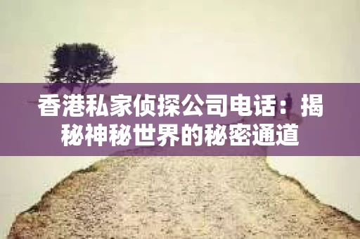 香港私家侦探公司电话：揭秘神秘世界的秘密通道