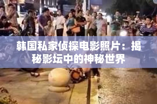 韩国私家侦探电影照片：揭秘影坛中的神秘世界