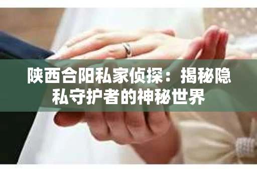 陕西合阳私家侦探：揭秘隐私守护者的神秘世界