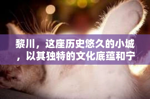 黎川，这座历史悠久的小城，以其独特的文化底蕴和宁静的生活节奏吸引着无数游客。然而，在这样一个看似平静的城市里，你是否会好奇，有没有私家侦探机构的存在呢？今天，就让我带你一探究竟。
