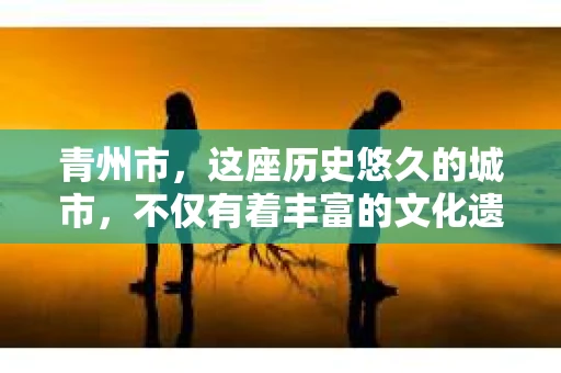 青州市，这座历史悠久的城市，不仅有着丰富的文化遗产，也有着现代生活的便捷。那么，问题来了——青州市有私家侦探公司吗？这个问题，对于需要侦探服务的人来说，无疑至关重要。接下来，我就来为大家揭开这个谜底。
