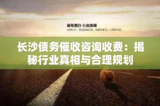 长沙债务催收咨询收费：揭秘行业真相与合理规划
