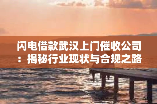 闪电借款武汉上门催收公司：揭秘行业现状与合规之路