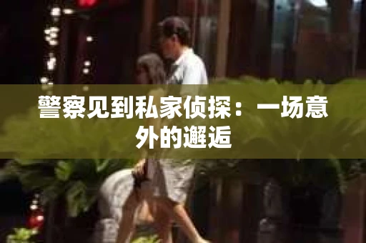 警察见到私家侦探：一场意外的邂逅
