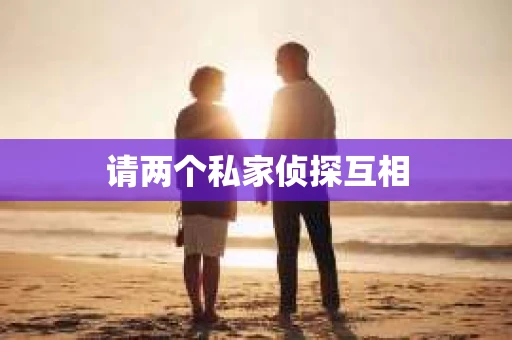 请两个私家侦探互相