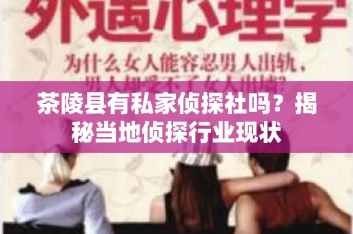 茶陵县有私家侦探社吗？揭秘当地侦探行业现状