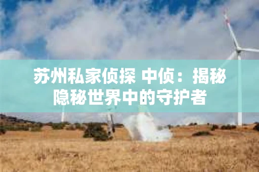 苏州私家侦探 中侦：揭秘隐秘世界中的守护者