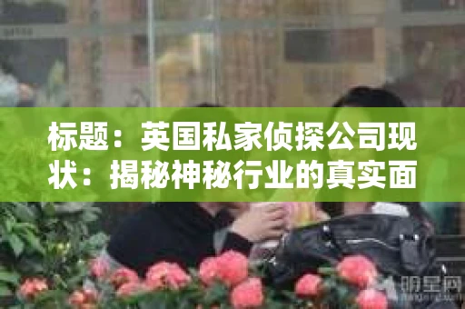 标题：英国私家侦探公司现状：揭秘神秘行业的真实面貌