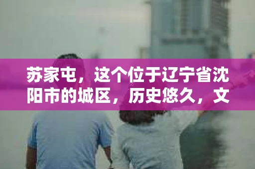 苏家屯，这个位于辽宁省沈阳市的城区，历史悠久，文化底蕴深厚。近年来，随着社会的发展，人们对于私家侦探的需求也逐渐增加。那么，苏家屯有私家侦探吗？今天，我们就来聊聊这个话题。