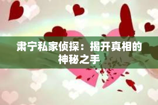 肃宁私家侦探：揭开真相的神秘之手