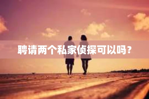 聘请两个私家侦探可以吗？