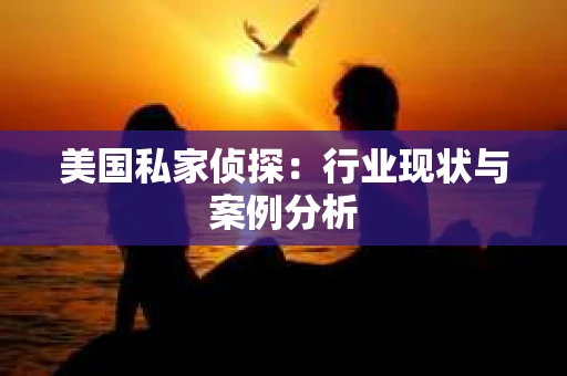 美国私家侦探：行业现状与案例分析