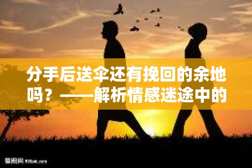 分手后送伞还有挽回的余地吗？——解析情感迷途中的决策