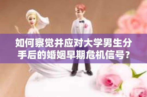 如何察觉并应对大学男生分手后的婚姻早期危机信号？