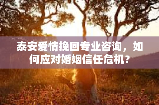 泰安爱情挽回专业咨询，如何应对婚姻信任危机？